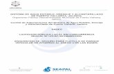 SEAPAL | Sistema de los Servicios de Agua Potable, Drenaje ...€¦  · Web view, ubicado en Las Palmas #109, Fraccionamiento Vallarta Villas, en Puerto Vallarta, Jalisco, a más