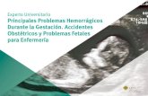 Principales Problemas Hemorrágicos Durante la Gestación ......mujeres que acuden a las urgencias son susceptibles de tener patologías y complicaciones en cualquier momento del embarazo.