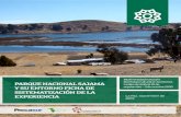 Biodiversidad natural e rurales de Bolivia 25 de Y SU ENTORNO …procasur.org/americalatina/images/2015/Des_Ter_Ac/2... · 2017. 7. 31. · La vicuña en Bolivia es una especie protegida