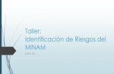 Taller: Identificación de Riesgos - MINAM · 2017. 6. 3. · TIPOS DE RIESGOS Tipos de Riesgo(1) Estratégico Se asocia con la forma como se administra la entidad, se relaciona con