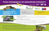 Guías Pedagógicas de Aprendizaje Ambiental · 2020. 3. 31. · Guías Pedagógicas de Aprendizaje Ambiental Nivel: Primer Ciclo Básico Ámbito: Comprensión del Medio Ambiente.