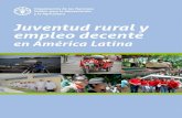 Juventud rural y empleo decente en América Latinaocupados en el sector agrícola, ambos sexos 37 12b: América Latina, Población Urbana (11 países), 2012: Categorías ocupacionales