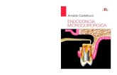 A. Castellucci ENDODONCIA MICROQUIRÚRGICA ENDODONCIA …store.grupoasis.com/upload/pdf-capitulos/endodoncia... · 2020. 12. 2. · Arnaldo Castellucci El Dr. Castellucci obtuvo el