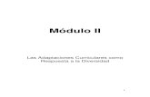 Módulo II - IPLACEXMódulo II Las Adaptaciones Curriculares como Respuesta a la Diversidad . 2 . 3 INTRODUCCIÓN Paralelamente a la evolución significativa de las conceptualizaciones