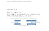 Capítulo 2 – Modelado computacional de los tejidos blandosbibing.us.es/proyectos/abreproy/5041/fichero/Capítulo+2... · Capítulo 2 – Modelado computacional de los tejidos blandos