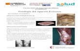 Patología del Aparato Extensor fotocopiastraumatologiazaragoza.com/Documentacion_files/Rodilla... · 2012. 4. 6. · frío, infiltraciones, fisioterapia y musculación excéntrica.