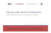TESIS DE DOCTORADO TESIS... · 2021. 1. 26. · y defensa de la tesis Doctoral es la única forma permitida para la obtención del grado de Doctor en el programa de Doctorado en Desarrollo