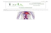 Anatomía Aplicada - Agregaagrega.juntadeandalucia.es/repositorio/19092016/af/es-an...El sistema cardiovascular está compuesto por el corazón y los vasos sanguíneos, estos últimos