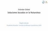 Estándar Global Soluciones basadas en la Naturaleza · 2020. 10. 15. · 4.4 El diseño considera un portafolio de opciones de recursos tales como: mecanismosdemercado, el sector