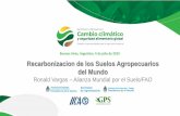 Recarbonizacion de los Suelos Agropecuarios del Mundocambioclimaticoyagricultura.com.ar/PRESENTACIONES/PANEL 3... · 2019. 7. 12. · El Carbono puede estar presente en miles de compuestos