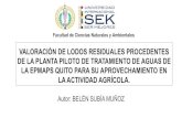 Caracterización de lodos procedentes de la planta piloto de ......• Valorar la calidad de lodos residuales procedentes de la planta piloto de tratamiento de aguas de la EPMAPS Quito