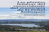 Las plantas leñosas del suroccidente del municipio de El Peñol, …ciencias.bogota.unal.edu.co/fileadmin/Facultad_de... · 2021. 4. 16. · permiten una agricultura de tipo intensivo,