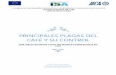 PRINCIPALES PLAGAS DEL CAFÉ Y SU CONTROL · de las plagas. b. Considerar las prácticas de muestreo como base para estimar densidades poblacionales y la distribución espacial de
