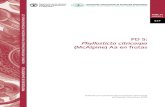 PD 5: Phyllosticta citricarpa (McAlpine) Aa en frutasPD 5 Protocolos de diagnóstico para las plagas reglamentadas PD 5-2 Convención Internacional de Protección Fitosanitaria 1.