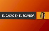 EL CACAO EN EL ECUADOR...2021/04/14  · EL CACAO EN EL ECUADOR. EL CACAO EN EL ECUADOR. 窶｢El Ecuador posee diversas zonas geogrﾃ｡ficas, tierras propicias para la agricultura