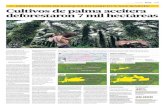 DESTRUCCIÓN DE BOSQUES EN LORETO Y SAN MARTÍN Cultivos de palma aceitera … · 2013. 9. 11. · Cultivos de palma aceitera deforestaron 7 mil hectáreas SIN CONTROL. El Ministerio