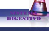 SISTEMA DIGESTIVO · 2021. 7. 27. · El aparato digestivo, es un largo tubo, con importantes glándulas asociadas, siendo su función la transformación de las complejas moléculas