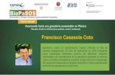Francisco Casasola Coto · 2021. 5. 25. · Francisco Casasola Coto Agrónomo, máster en Agroforestería Tropical enfocada al área de sistemas silvopastoriles, 19 años de experiencia