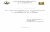 Seminario de Grado de Doctorado EFECTO DE LA FRAGMENTACIÓN DE BOSQUES TROPICALES …saber.ucv.ve/bitstream/10872/20662/1/El Souki M. 2003... · 2020. 6. 14. · La cuenca Amazónica