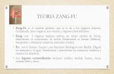 Teorías Básicas Tradicionales - sld.cu · 2017. 4. 13. · TEORIA ZANG-FU •Zang-Fu es el nombre genérico que se le da a los órganos internos. Comprende: cinco órganos, seis