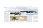 La Estrella (Arica) 16 11 14 La golondrina que hace sus nidos en … · 2018. 8. 31. · la golondrina de mar en la costa de Arica Muy difíciles de detectar, algunos están en zonas