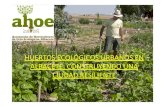 HUERTOS ECOLÓGICOS URBANOS EN ALBACETE: … · 2018. 1. 21. · HUERTOS ECOLÓGICOS URBANOS EN ALBACETE ALBACETE Asociación de Horticultores de Ocio y • Asociación de Horticultores