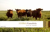 ADBlick Ganaderíaadblickagro.com/pdf/ganaderia/pna_adblick_ganaderia.pdfRGS BRS NOVILLO EEUU Fuente: elaboración propia en base a datos del consorcio de exportadores de carne argentina.
