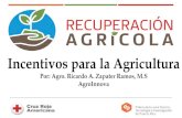 Incentivos para la Agricultura · 2020. 10. 23. · incentivos •También se abren las puertas a oportunidades de financiamiento, incentivos y diversidad de programas estatales y