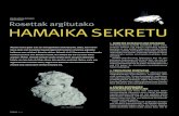 Ana Galarraga Aiestaran Rosettak argitutako hamaika sekRetu eguzki-sistema eratu zeneko hondarrekin