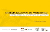 SISTEMA NACIONAL DE MONITOREO...Ecuador Continental. Se dispone de mapas: Biogeografía, Bioclima, Geoformas, Fenología a nivel nacional, los cuales sirvieron para la construcción