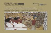 MUSEO NACIONAL DE HISTORIA NATURAL CHILE · aproximación a la arqueología del mundo egipcio, constituyendo en la primera exposición de este tipo a nivel nacional. Ahora, gracias