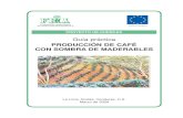 PRODUCCIÓN DE CAFÉ CON SOMBRA DE MADERABLES ...infocafes.com/.../2016/01/gpcafeconsombramaderables.pdfcumbillo (Terminalia amazonia), santa maría (Calophillum brasiliense), nogal