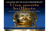 Una mente brillante: Una introducción a la meditación budista … · 2021. 4. 27. · Afirmación de la amistad espiritual Créditos 2. Introducción 3. ... Sin embargo, hay una