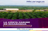 LA COSTA CARIBE EL CARIBE DE NICARAGUA · región centroamericana. La espectacular geografía de Nicaragua incluye cerca de 800 km de costas en el Pacífico y Caribe, 25 formaciones