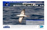 Boletín GIAM 28 - SEO Birdlife · Nº28, Inv 2007 Editorial 2 Gaviota de Audouin fuera de área de distribución tradiconal. Audouin’s gull away from tradicional distribution area.
