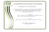 Trabajo de Graduación - CORE · 2016. 5. 18. · Trabajo de Graduación Establecimiento y caracterización dendrológica de cultivares clónales Spondia sp., en el Arboretum Alain