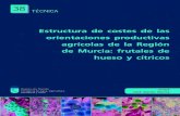Estructura de costes de las hueso y cítricos - SFTT · Estructura de costes de las orientaciones productivas agrícolas de la Región de Murcia: frutales de hueso y cítricos 38