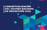 CONCEPTUALIZACIÓN DEL SISTEMA NACIONAL DE PROTECCIÓN CIVIL · 2020. 11. 20. · 3. El Plan Nacional de Protección Civil en trámite actual de aprobación, define la existencia