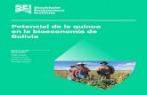 Potencial de la quinua en la bioeconomía de Bolivia...Conectamos la ciencia y la toma de decisiones para desarrollar soluciones que conduzcan a un futuro sostenible para todos. Nuestro