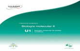 Biología molecular II€¦ · Biología molecular de ácidos nucleicos 1.1.2. Extracción de ácidos nucleicos El primer paso en el análisis de los ácidos nucleicos es su extracción