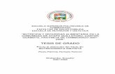 TESIS DE GRADOdspace.espoch.edu.ec/bitstream/123456789/1066/1/34T00198.pdf · 2016. 1. 27. · 18 de Febrero del 2010. AGRADECIMIENTO A la Escuela Superior Politécnica de Chimborazo,