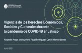 Vigencia de los Derechos Económicos, Sociales y Culturales … · 2021. 6. 16. · Vigencia de los Derechos Económicos, Sociales y Culturales durante la pandemia de COVID-19 en