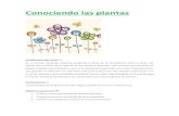 Conociendo las plantas - USAL · 2017. 3. 12. · La siguiente parte consistirá en la presentación y diferenciación de las distintas partes de una flor; corola, estambres, cáliz