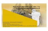 Anacronismos de la monumentalidad · 2021. 5. 31. · Arte del Grado de Artes de la Universitat Oberta de Cataluny, titulado La riqueza catalana, que aplica las estrategias decoloniales