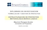 DIPLOMADO EN INVESTIGACION ESTRUCTURACION DE PROYECTOS METODOLOGIA