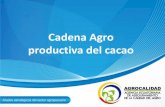 Cadena Agro productiva del cacao - UNCTAD...Cadena Agro productiva del cacao •AGROCALIDAD, es la Institución responsable de la correcta aplicación de los procesos y su interacción,