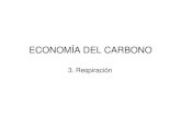 ECONOMÍA DEL CARBONOfcen.uncuyo.edu.ar/upload/Carbono3 2009.pdf · Las plantas respiran una alta proporción del carbono que fijan Sólo los tejidos verdes fotosintetizan, pero todos