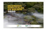 INCENDIOS FORESTALES 2020 bajaincendios.fan-bo.org/.../2021/INCENDIOS_FORESTALES_2020.pdf · 2021. 6. 23. · INCENDIOS FORESTALES EN BOLIVIA 2020 7 1. INTRODUCCIÓN En Bolivia han