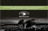 Vertientes del pensamiento agroecológicomedia.utp.edu.co/centro-gestion-ambiental/archivos/... · 2012. 5. 6. · Clara Ines Nicholls ... la producción de publicaciones de amplia