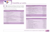 Memoria Castilla y León 2016 - COP · 2017. 7. 7. · Retenciones y pagos a cuenta 96,52 III. Inversiones Financieras Temporales 125.000,00 1. ... INCOMPATIBILIDADES Y CONFLICTOS